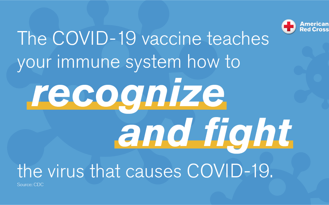 COVID-19 Vaccine tips for coping with the stress